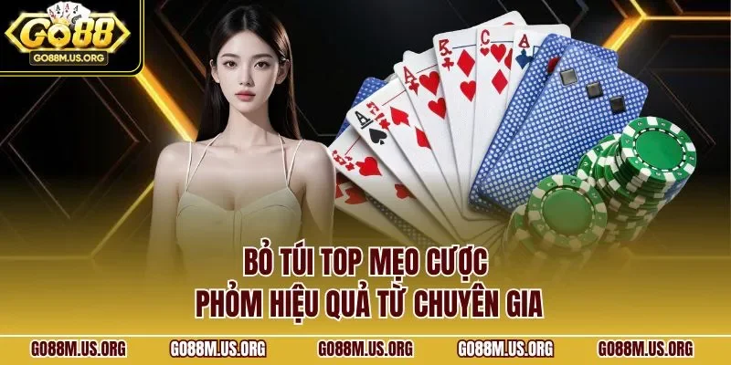 Bỏ túi top mẹo cược phỏm hiệu quả từ chuyên gia